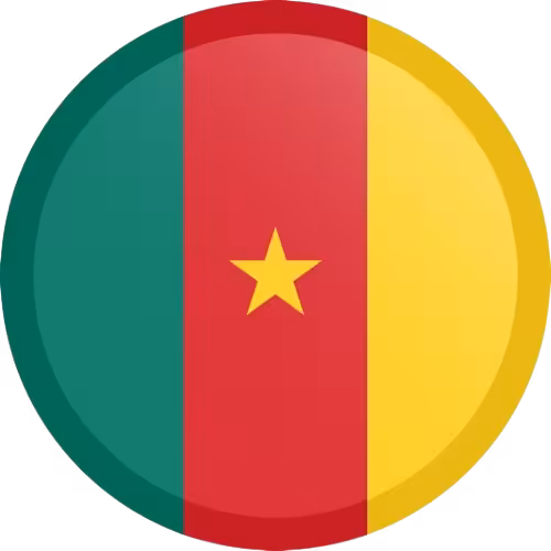 Drapeau du Cameroun